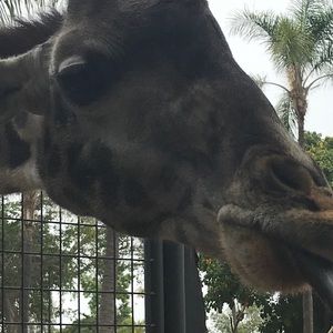 Meet your Posher, Roxanne